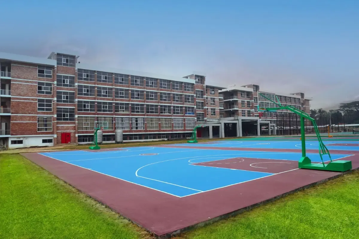 Sports & Activities 3